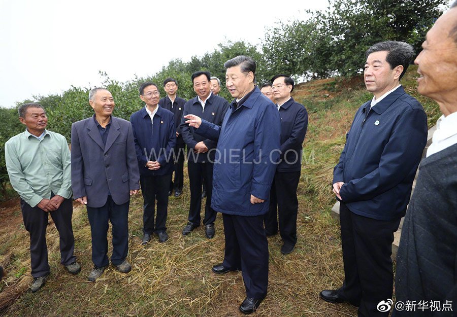 光山油茶籽榨油設備，山茶籽油榨油機廠家(圖3)